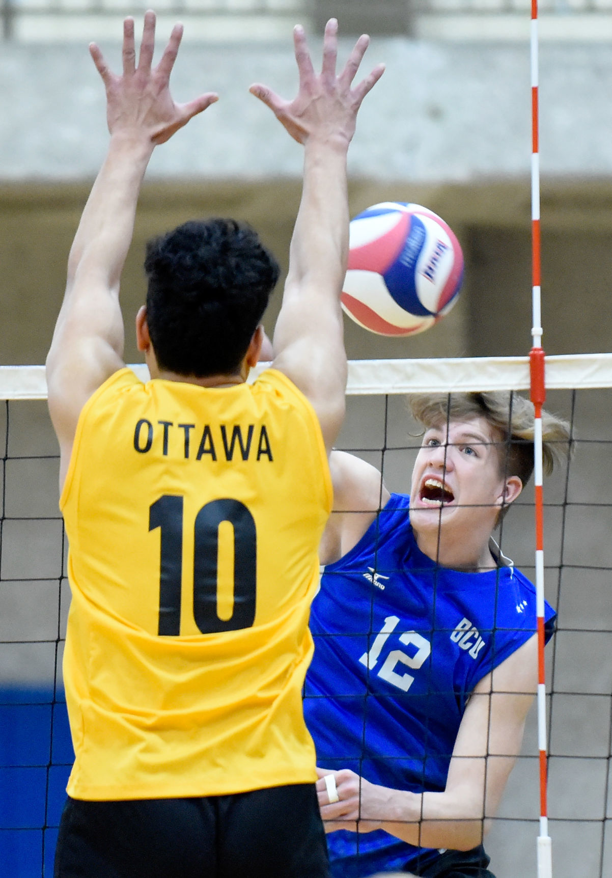 Volleyball Briar Cliff vs. Ottawa